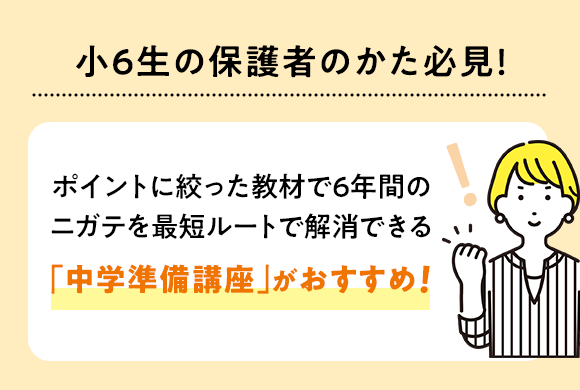 お値下げ❗進研ゼミ小学講座　中学入試セット　小6　28冊 年間教材 | 中学準備講座 | 進研ゼミ中学準備講座 | 小学6年生