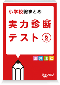 実力診断テスト
