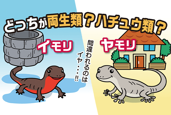 動画まとめて検索サイト