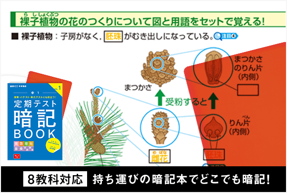 実際にテストに出る形式で効率よく暗記