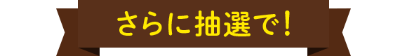さらに抽選で!